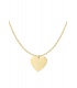 Goudkleurige halsketting met als hanger een hart